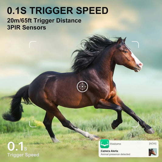 HD real-time monitoring camera