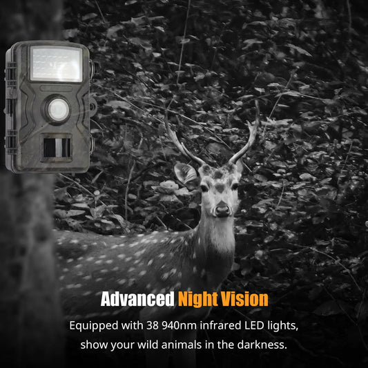 Hunting Camera Night Vision
