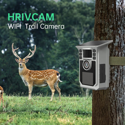 4K Solar Trail Camera