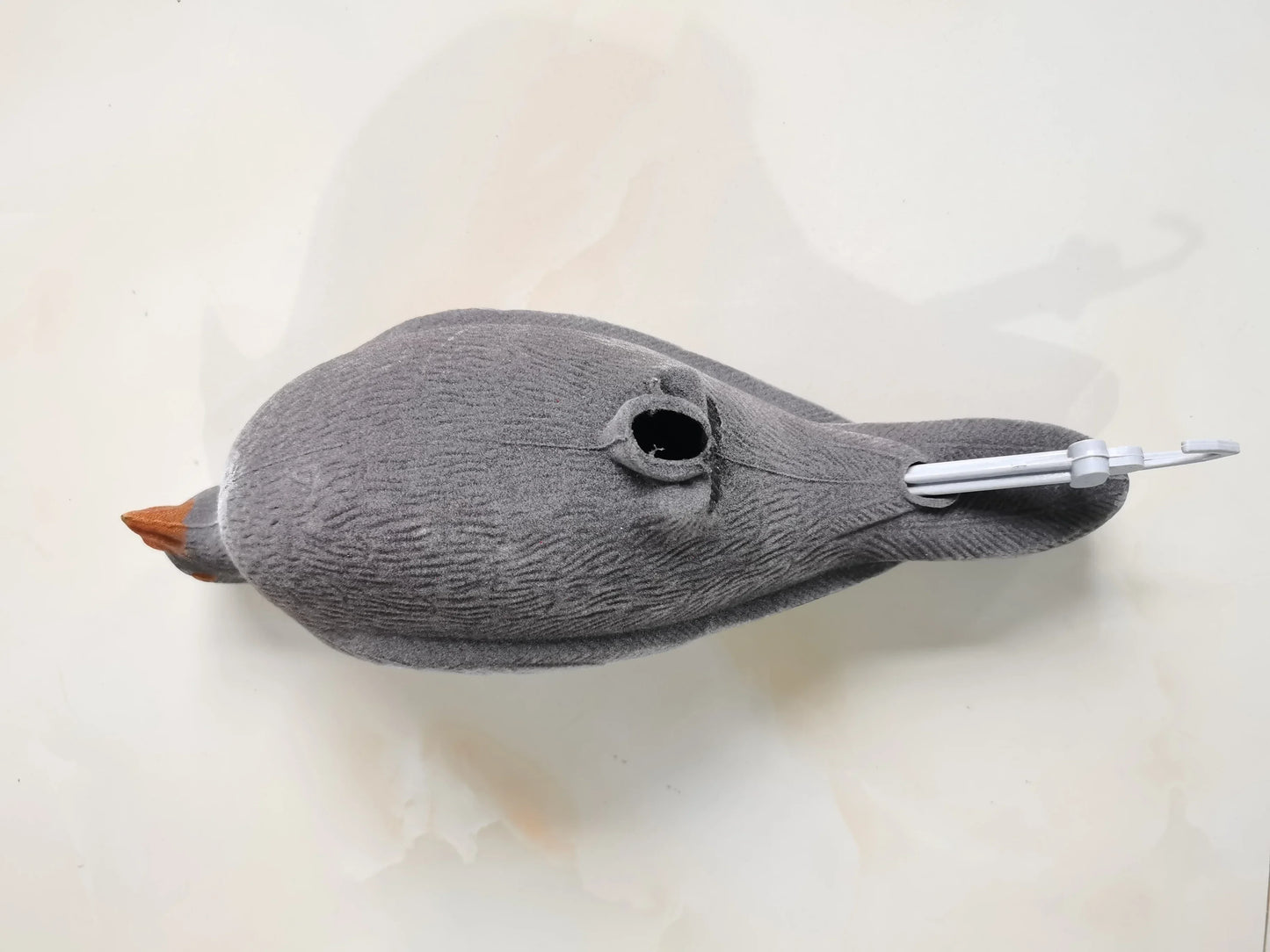 Set Whole Plastic Pigeon
