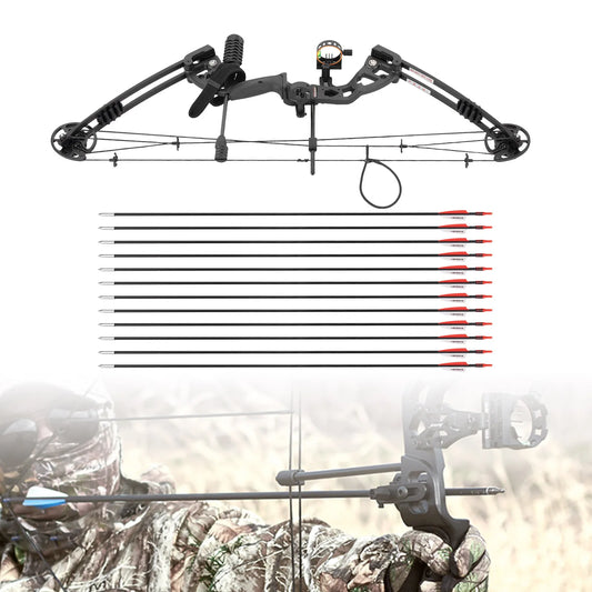 Compound Bow Recurve Bow, Arrows Set
