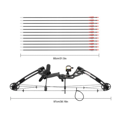 Compound Bow Recurve Bow, Arrows Set