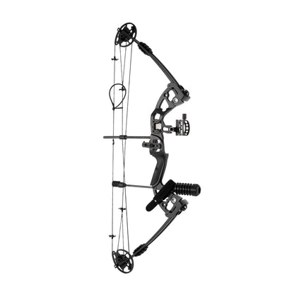 Compound Bow Recurve Bow, Arrows Set