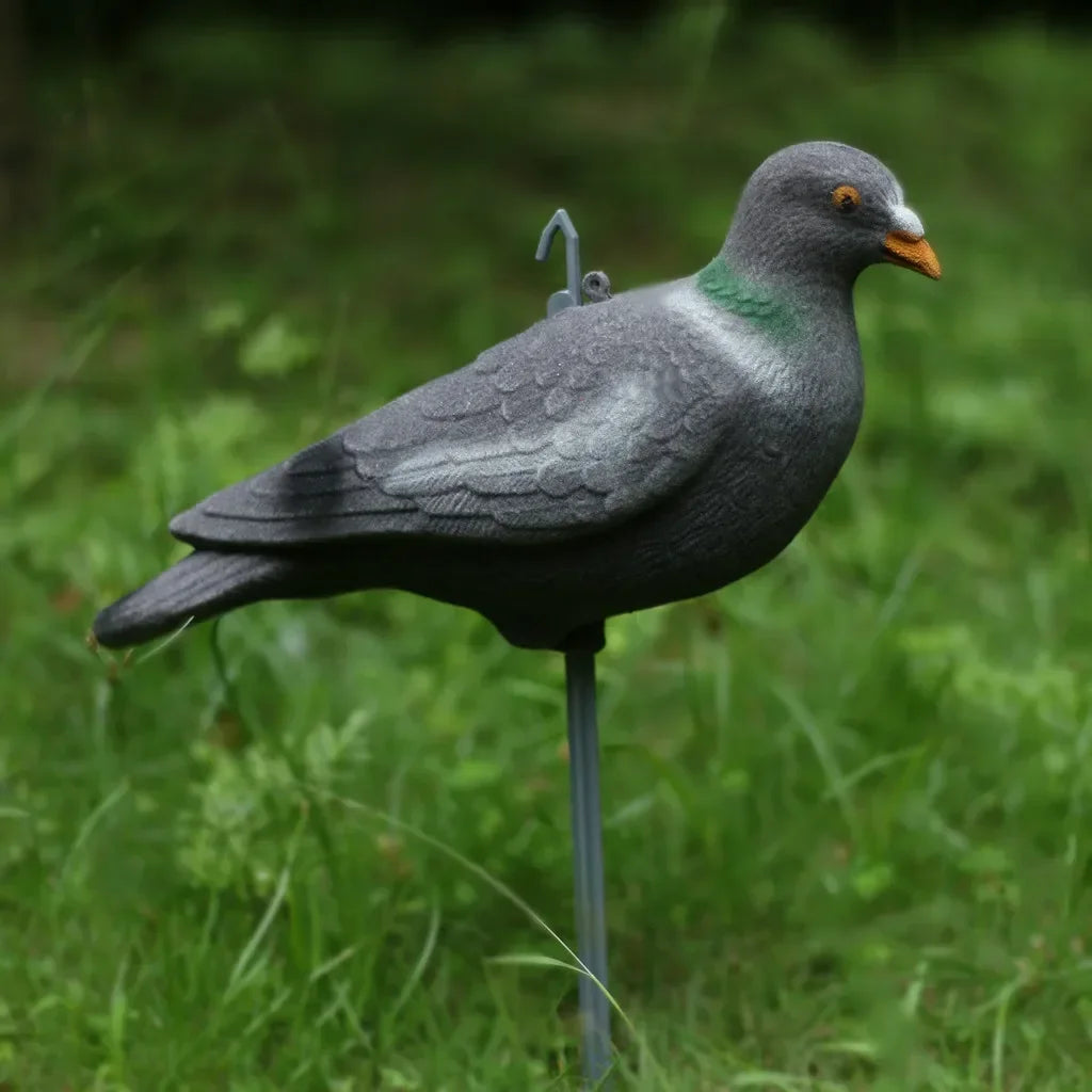 Set Whole Plastic Pigeon